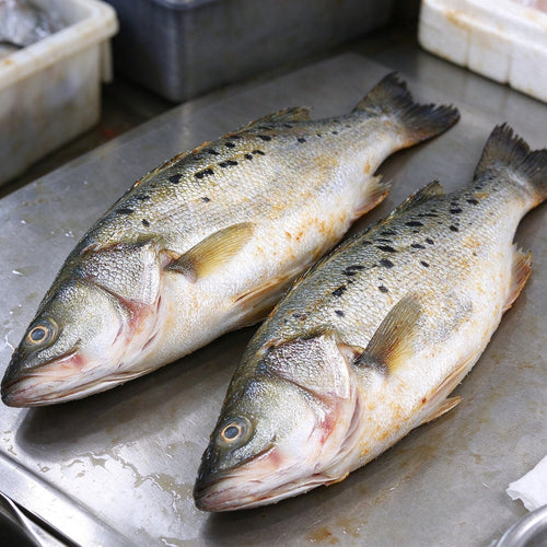 Fresh Premium Whole Sea Bass
