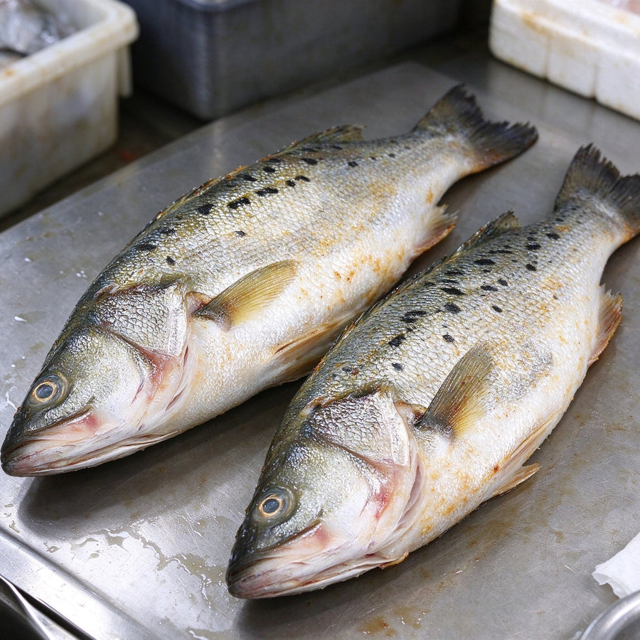 Fresh Premium Whole Sea Bass